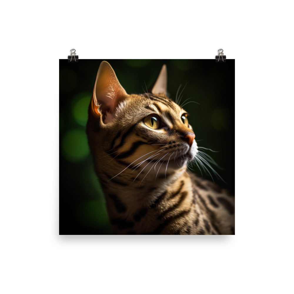 Majestic Beauty of Ocicat Cat Photo paper poster - PosterfyAI.com