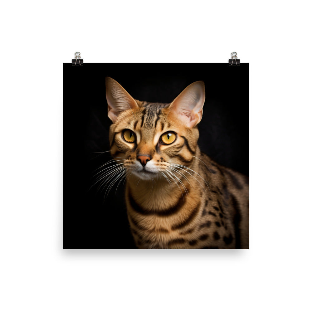 Elegance of Ocicat Cat Photo paper poster - PosterfyAI.com