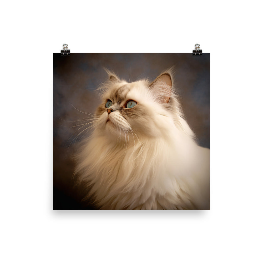 Dignified Aura of Himalayan Cat Photo paper poster - PosterfyAI.com