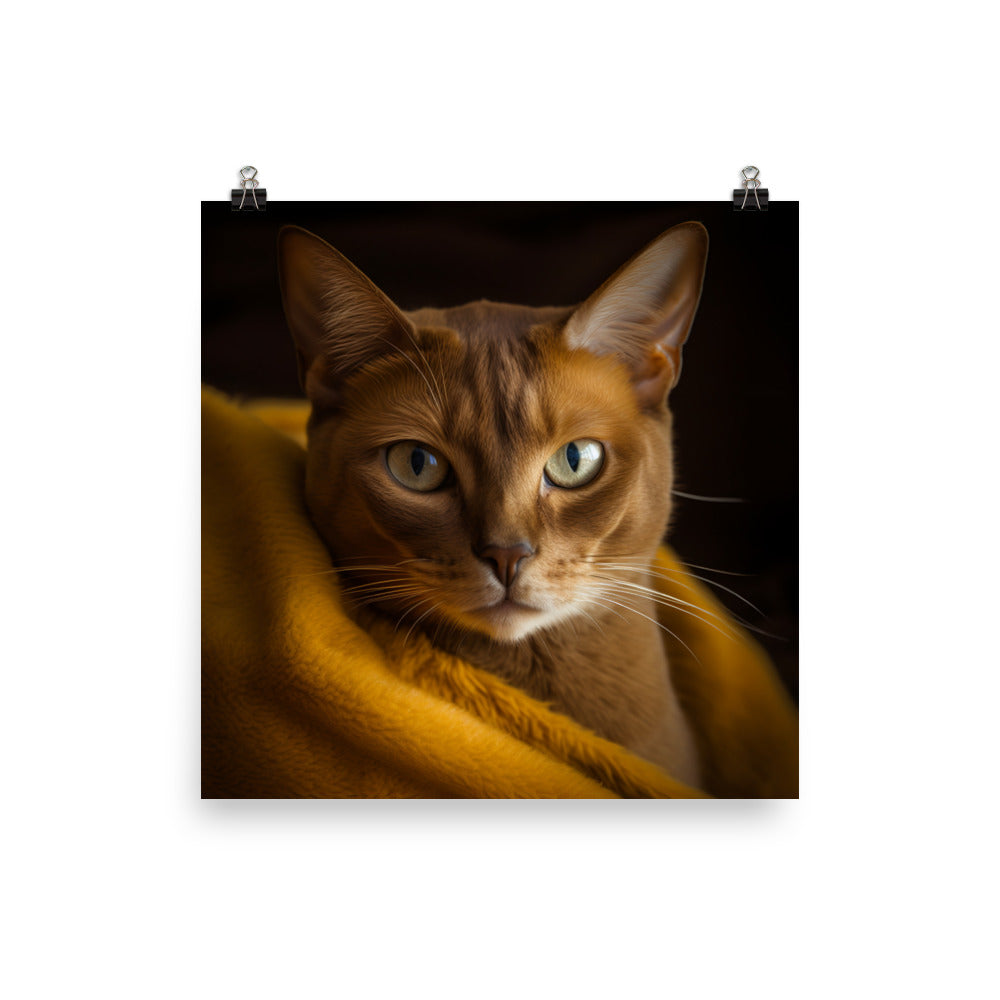 Elegance of Burmese Cat Photo paper poster - PosterfyAI.com