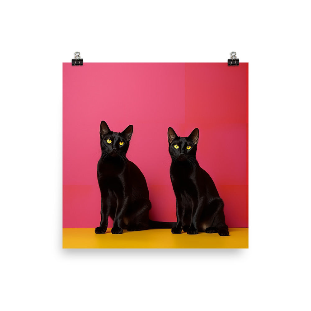 Striking Contrast of Bombay Cat Photo paper poster - PosterfyAI.com