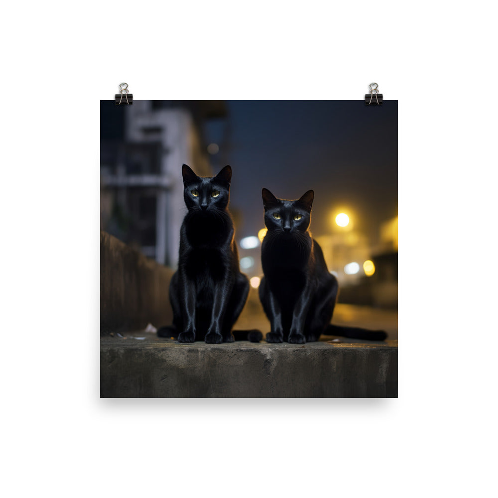 Elegance of Bombay Cat Photo paper poster - PosterfyAI.com