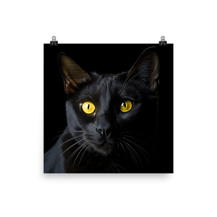 Bombay Cat in Stunning Detail Photo paper poster - PosterfyAI.com