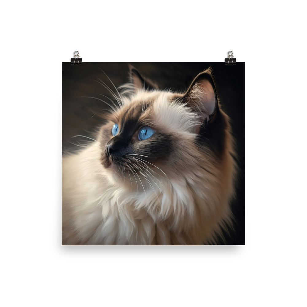 Birman Cat Photo paper poster - PosterfyAI.com