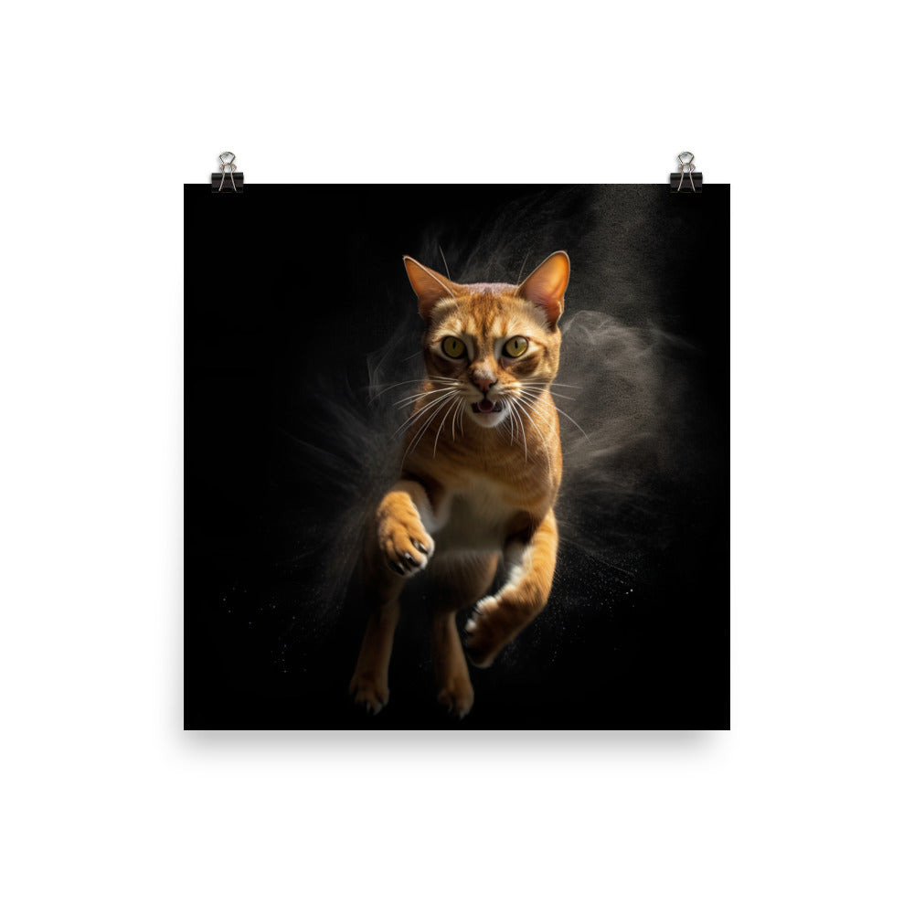 Abyssinian Cat Photo paper poster - PosterfyAI.com