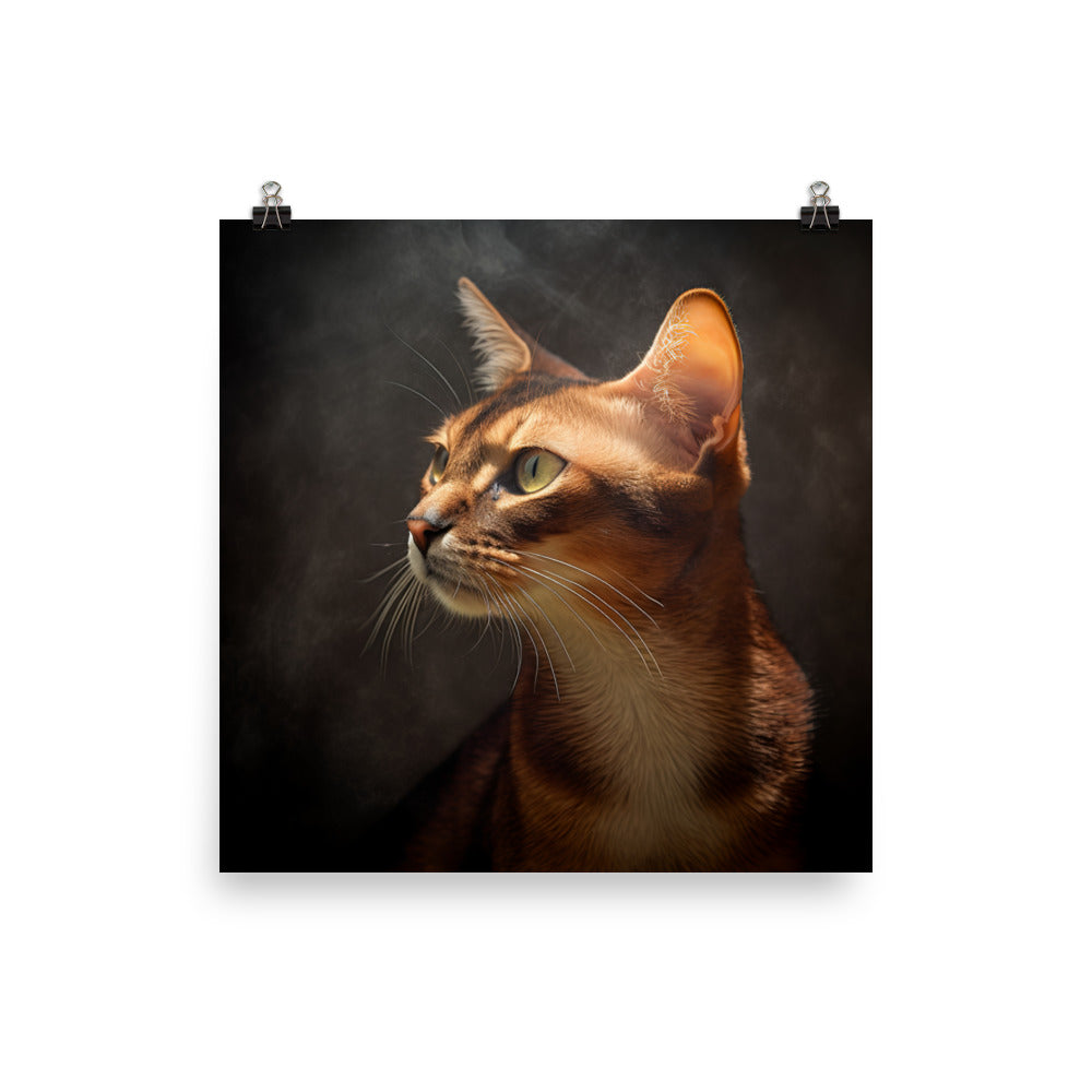 Abyssinian Cat Photo paper poster - PosterfyAI.com