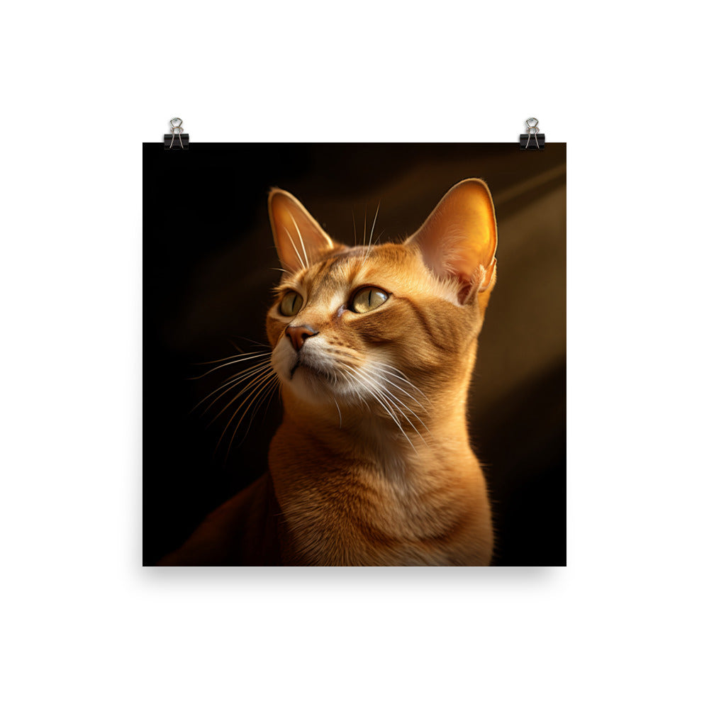 Abyssinian Cat Photo paper poster - PosterfyAI.com