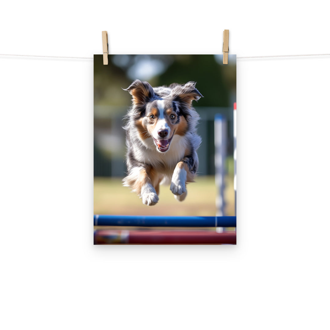 Australian Shepherd Photo paper poster - PosterfyAI.com