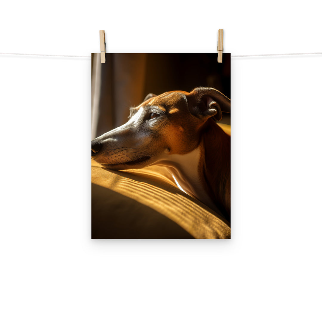 Greyhound Photo paper poster - PosterfyAI.com