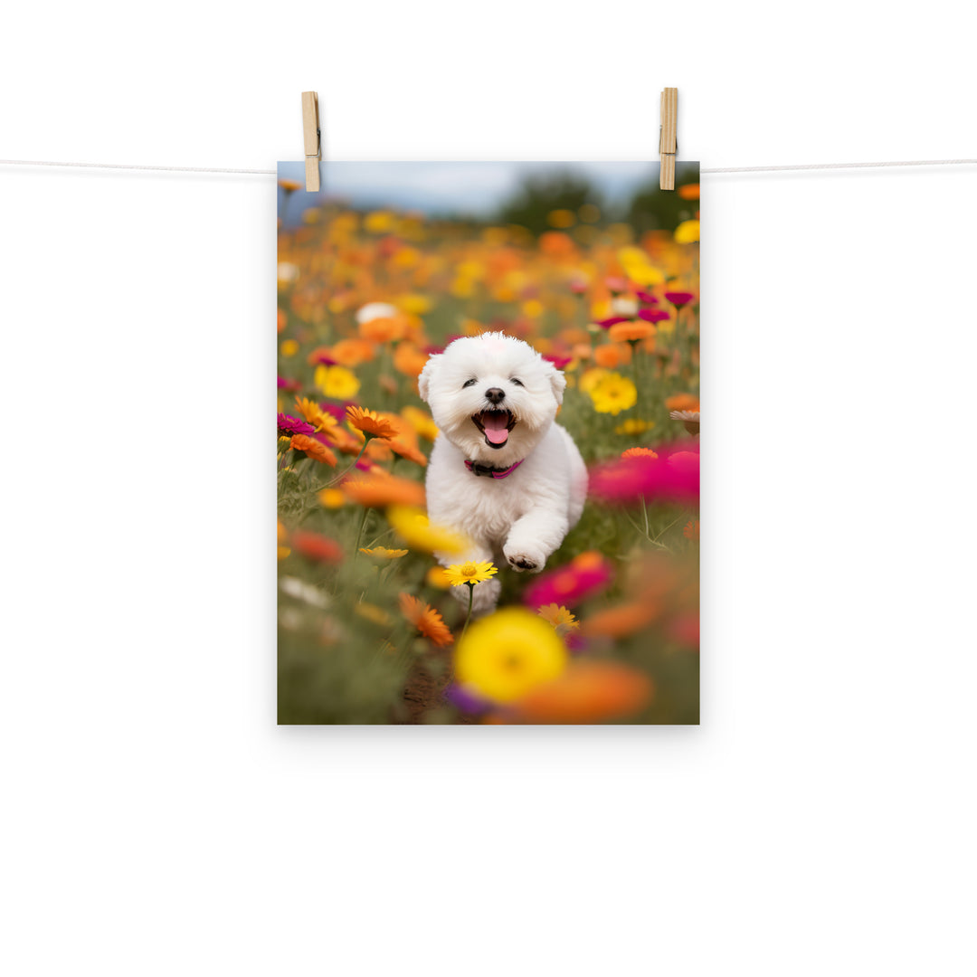 Bichon Frise Photo paper poster - PosterfyAI.com