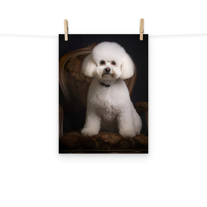 Bichon Frise Photo paper poster - PosterfyAI.com