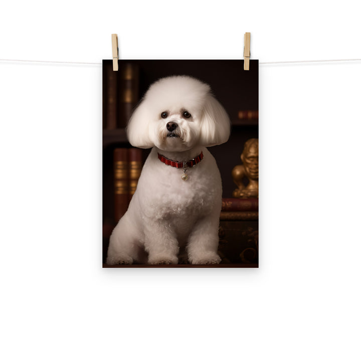 Bichon Frise Photo paper poster - PosterfyAI.com