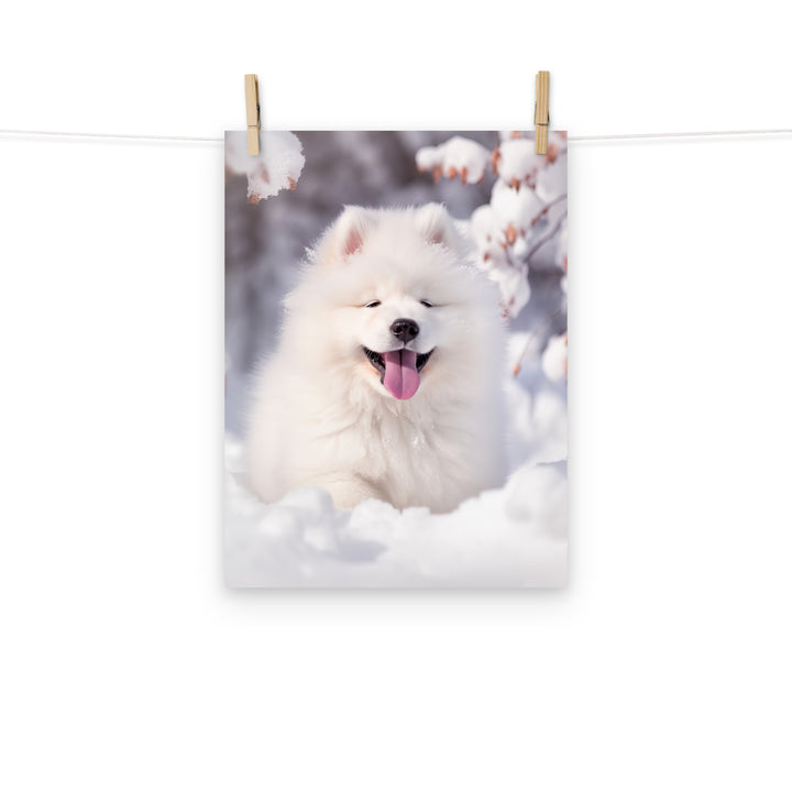 Samoyed Photo paper poster - PosterfyAI.com