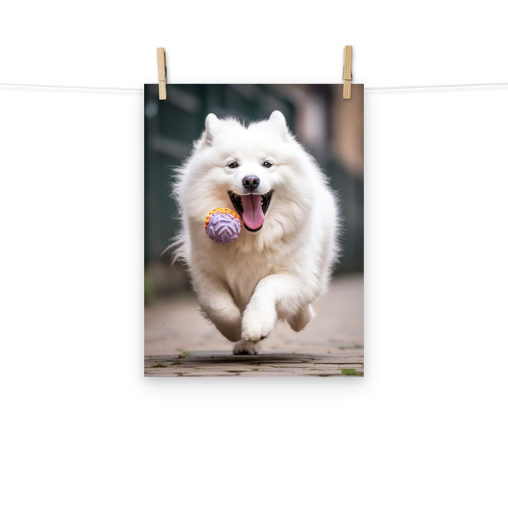 Samoyed Photo paper poster - PosterfyAI.com