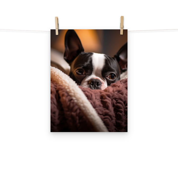 Boston Terrier Photo paper poster - PosterfyAI.com