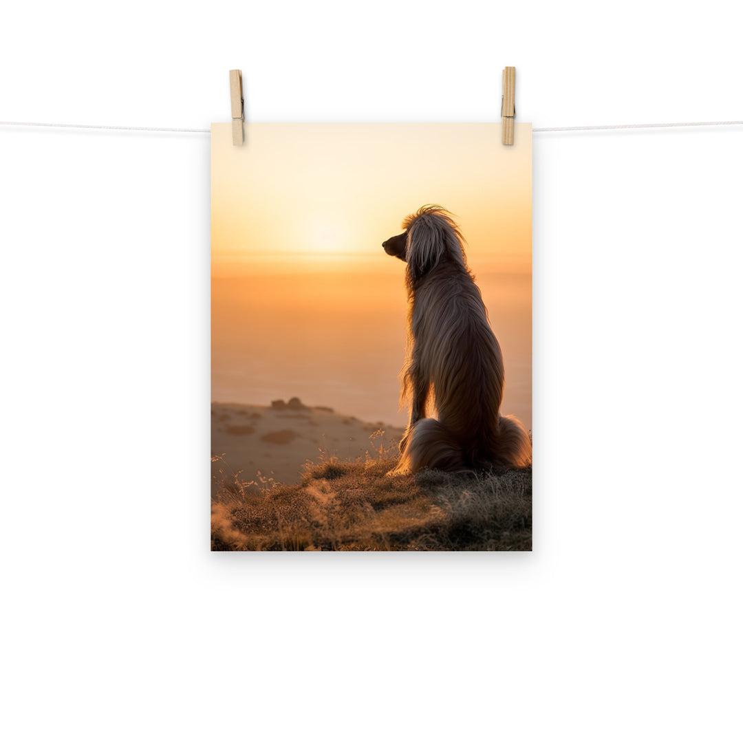 Afghan Hound Photo paper poster - PosterfyAI.com