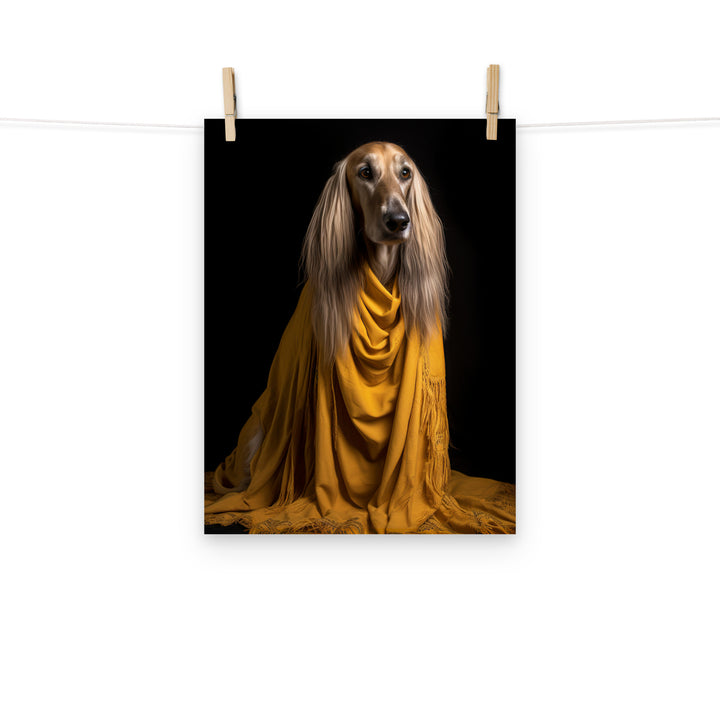 Afghan Hound Photo paper poster - PosterfyAI.com