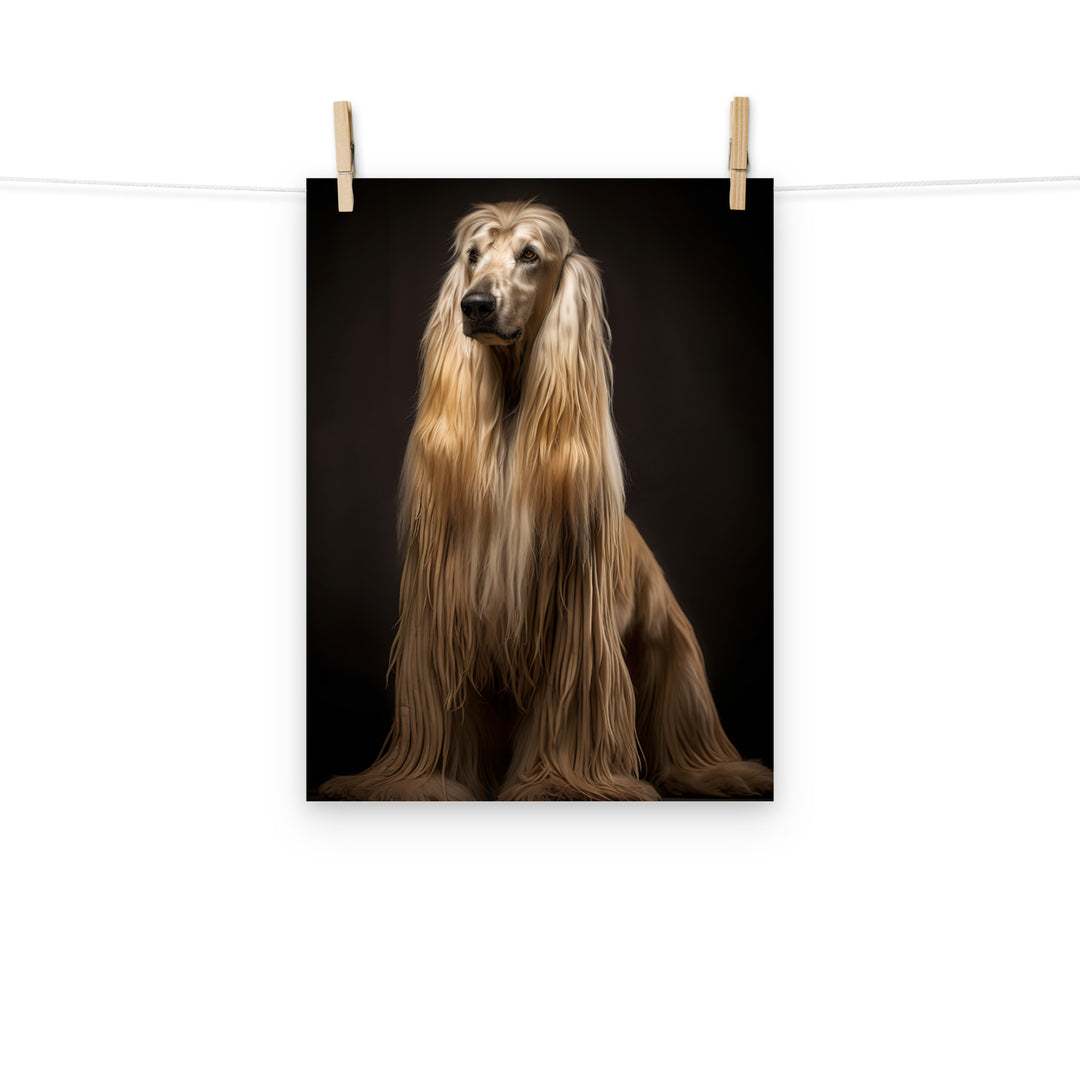 Afghan Hound Photo paper poster - PosterfyAI.com