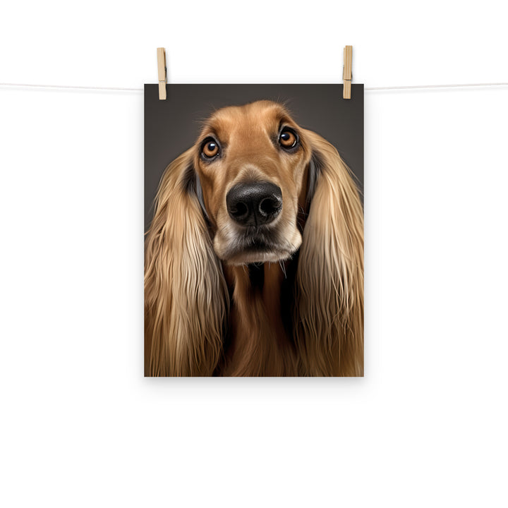 Afghan Hound Photo paper poster - PosterfyAI.com