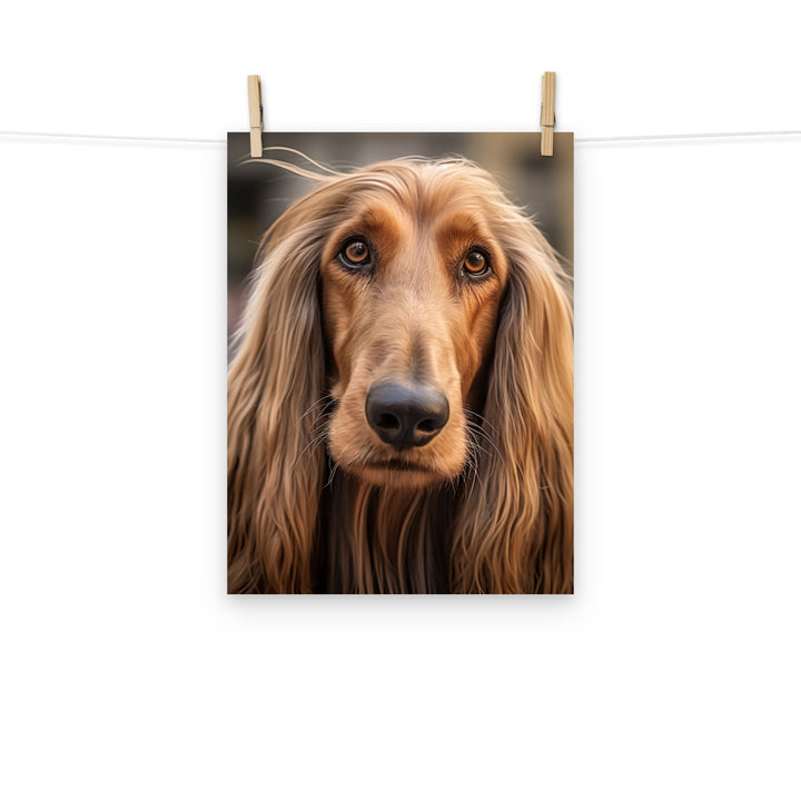 Afghan Hound Photo paper poster - PosterfyAI.com