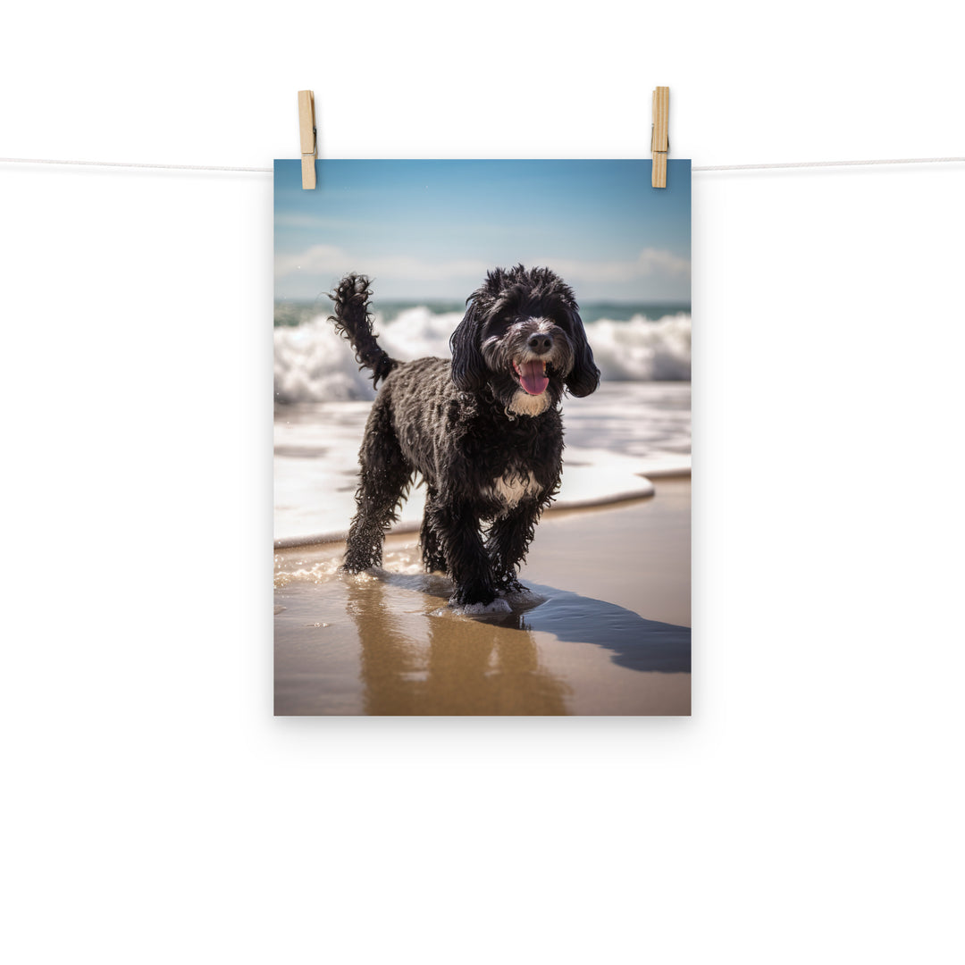 Portuguese Water Dog Photo paper poster - PosterfyAI.com