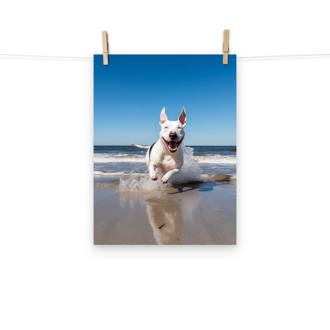 Bull Terrier Photo paper poster - PosterfyAI.com