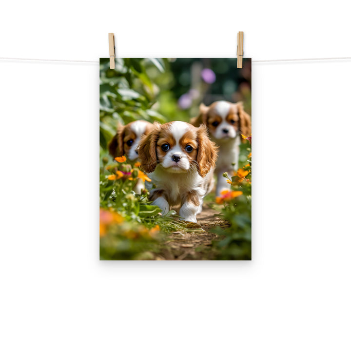 Cavalier King Charles Photo paper poster - PosterfyAI.com