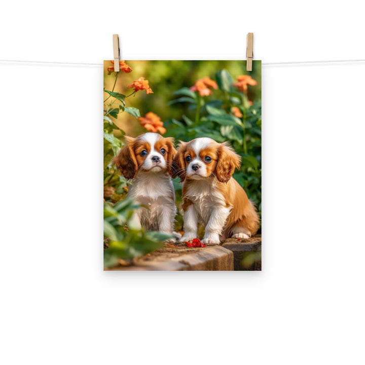 Cavalier King Charles Photo paper poster - PosterfyAI.com