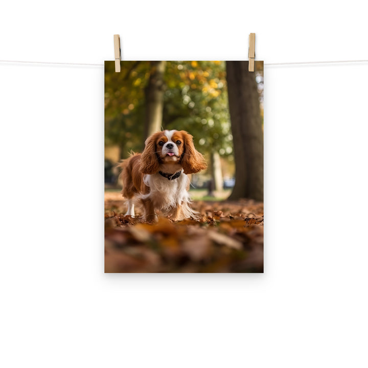 Cavalier King Charles Photo paper poster - PosterfyAI.com