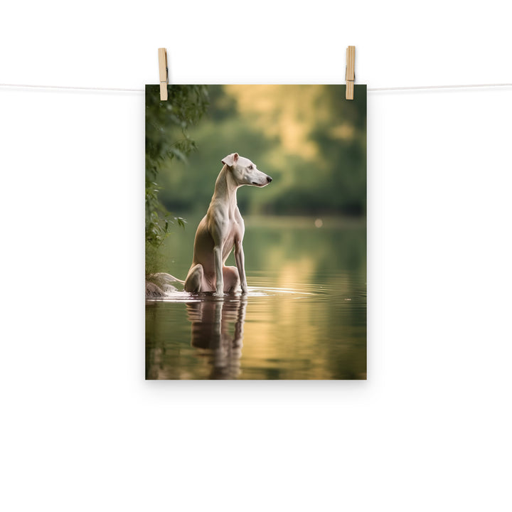 Whippet Photo paper poster - PosterfyAI.com