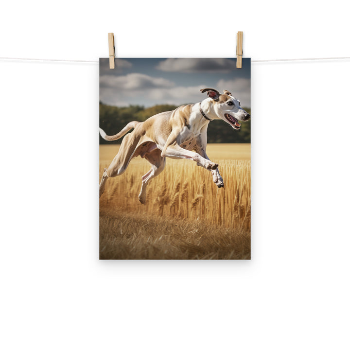 Whippet Photo paper poster - PosterfyAI.com