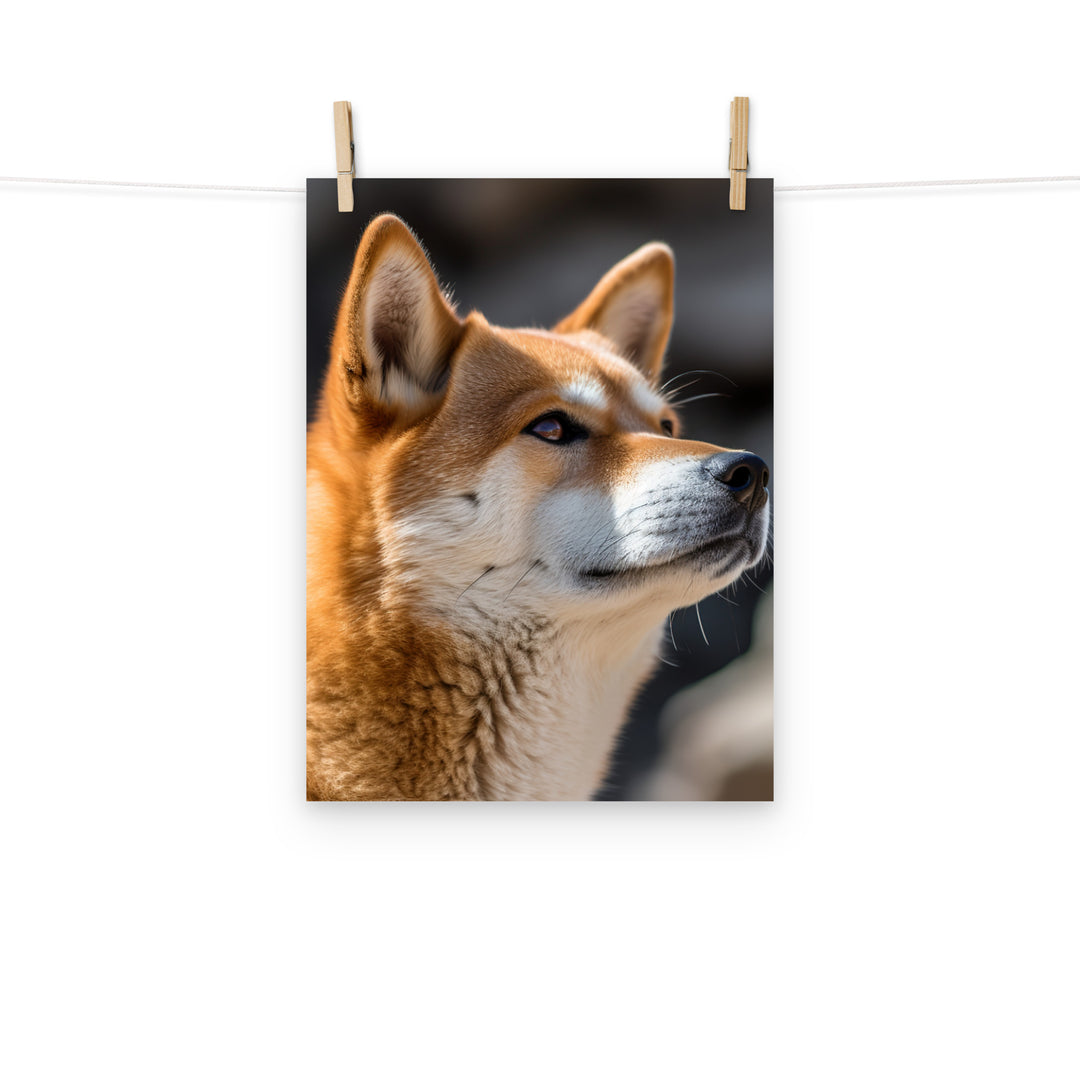 Shiba Inu Photo paper poster - PosterfyAI.com