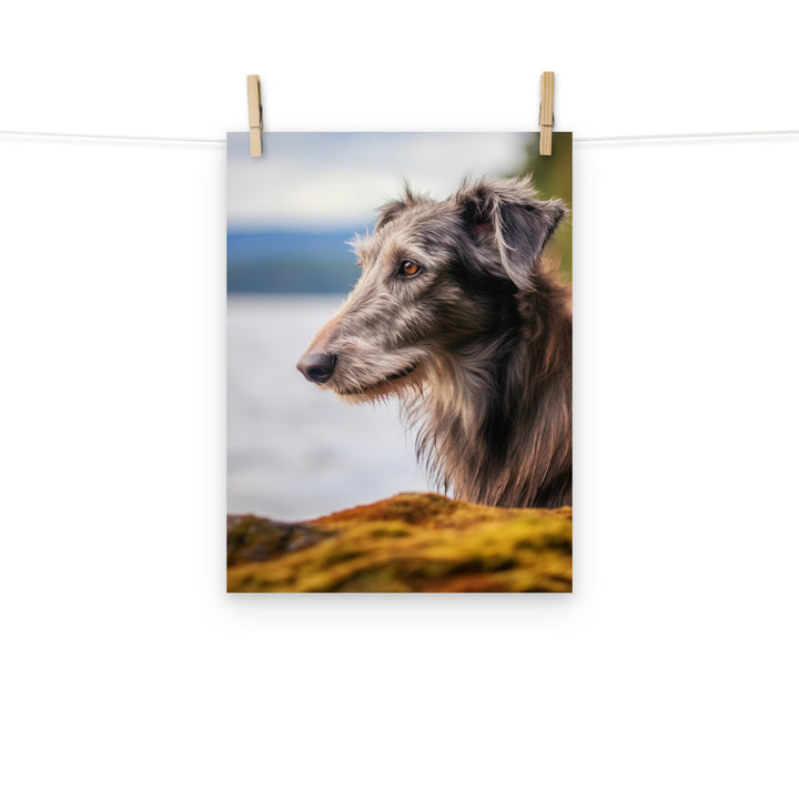 Scottish Deerhound Photo paper poster - PosterfyAI.com