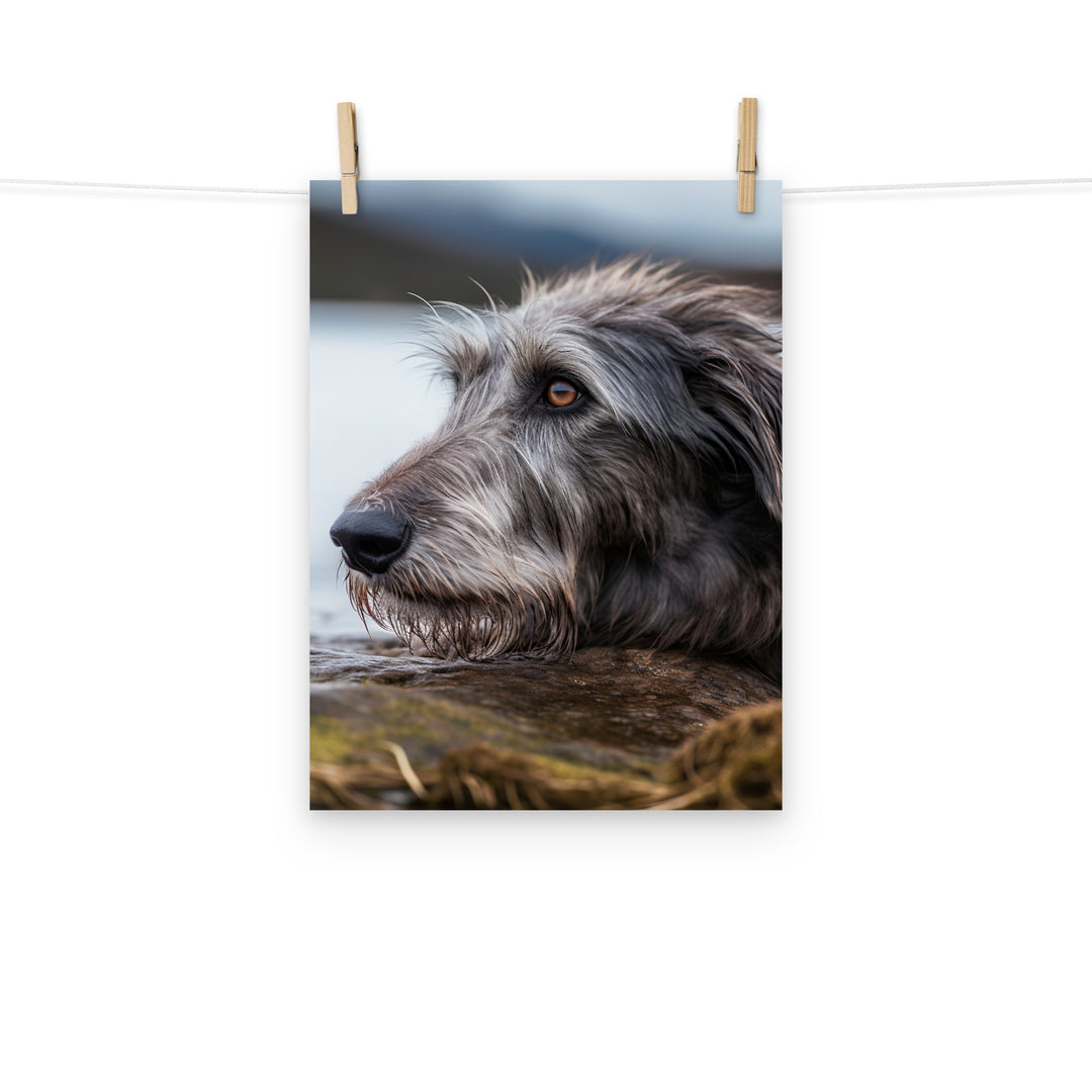 Scottish Deerhound Photo paper poster - PosterfyAI.com