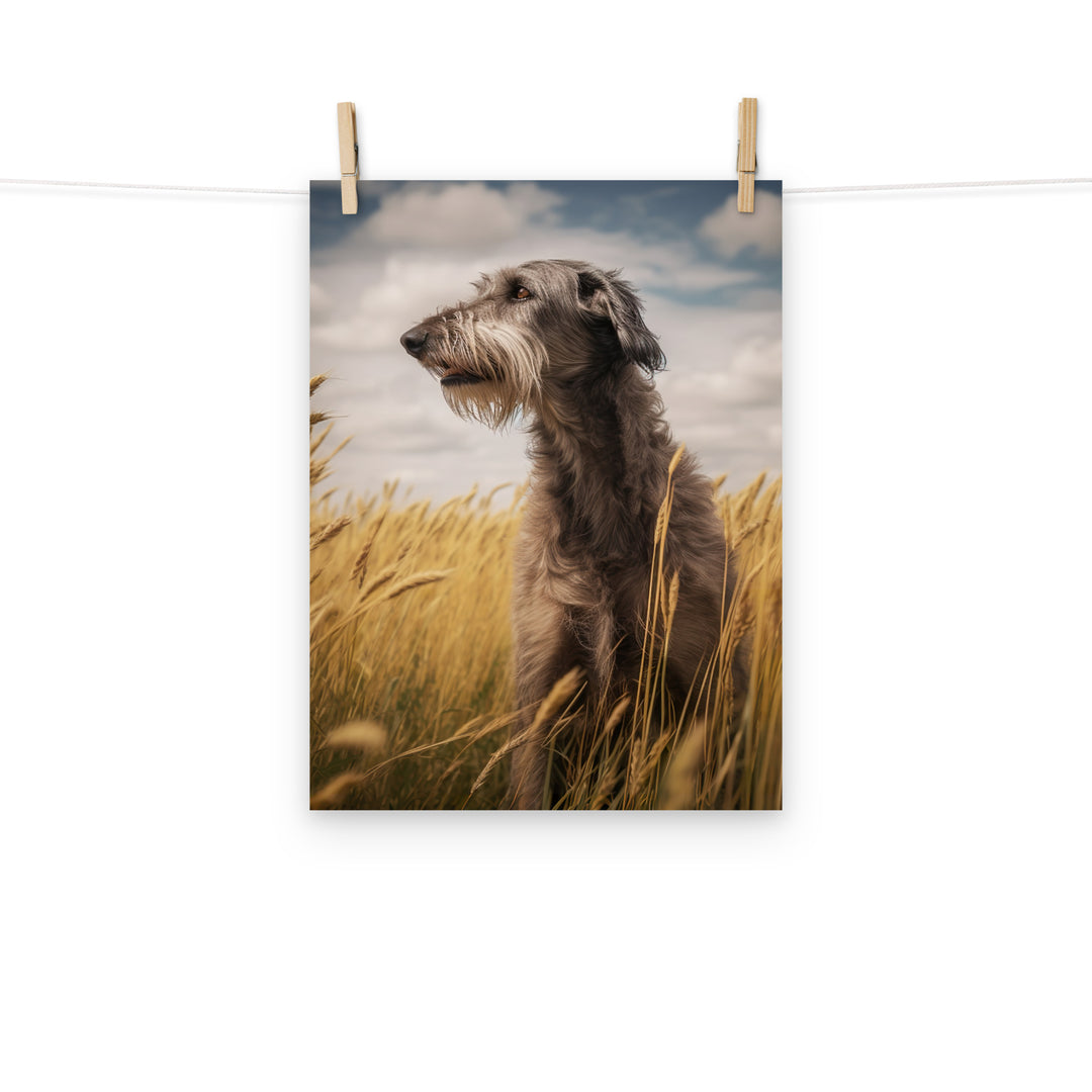 Scottish Deerhound Photo paper poster - PosterfyAI.com