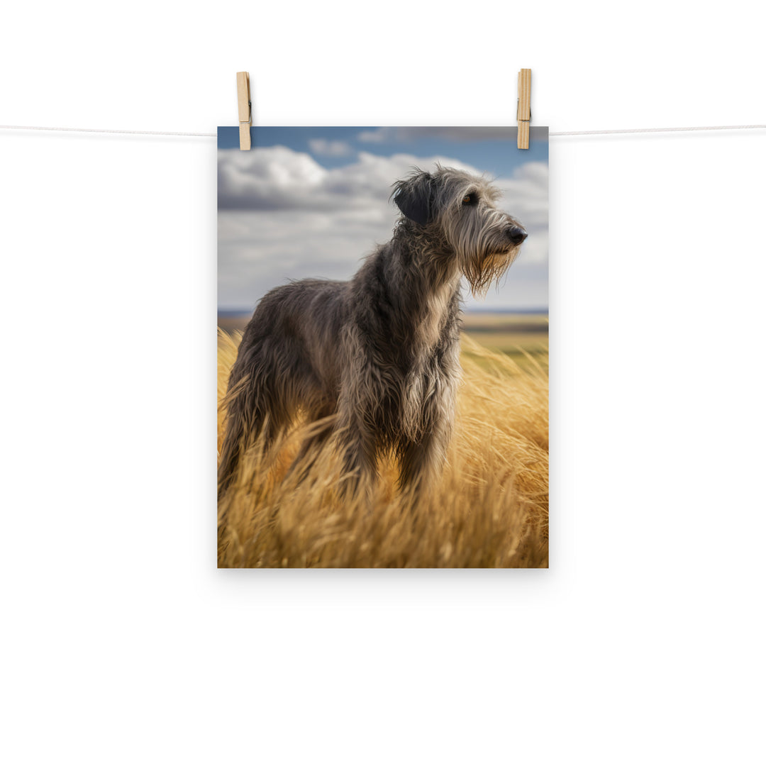 Scottish Deerhound Photo paper poster - PosterfyAI.com