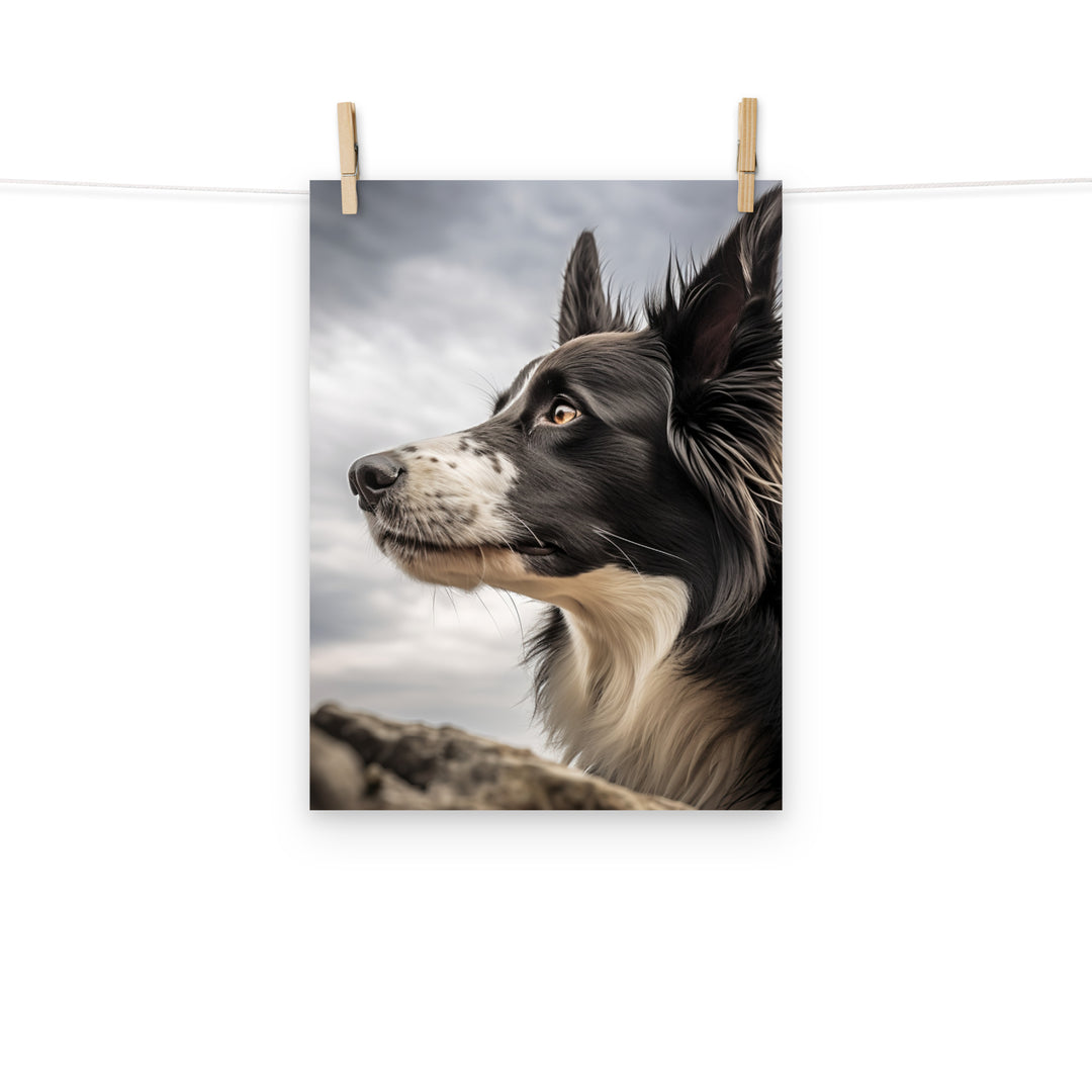 Border Collie Photo paper poster - PosterfyAI.com