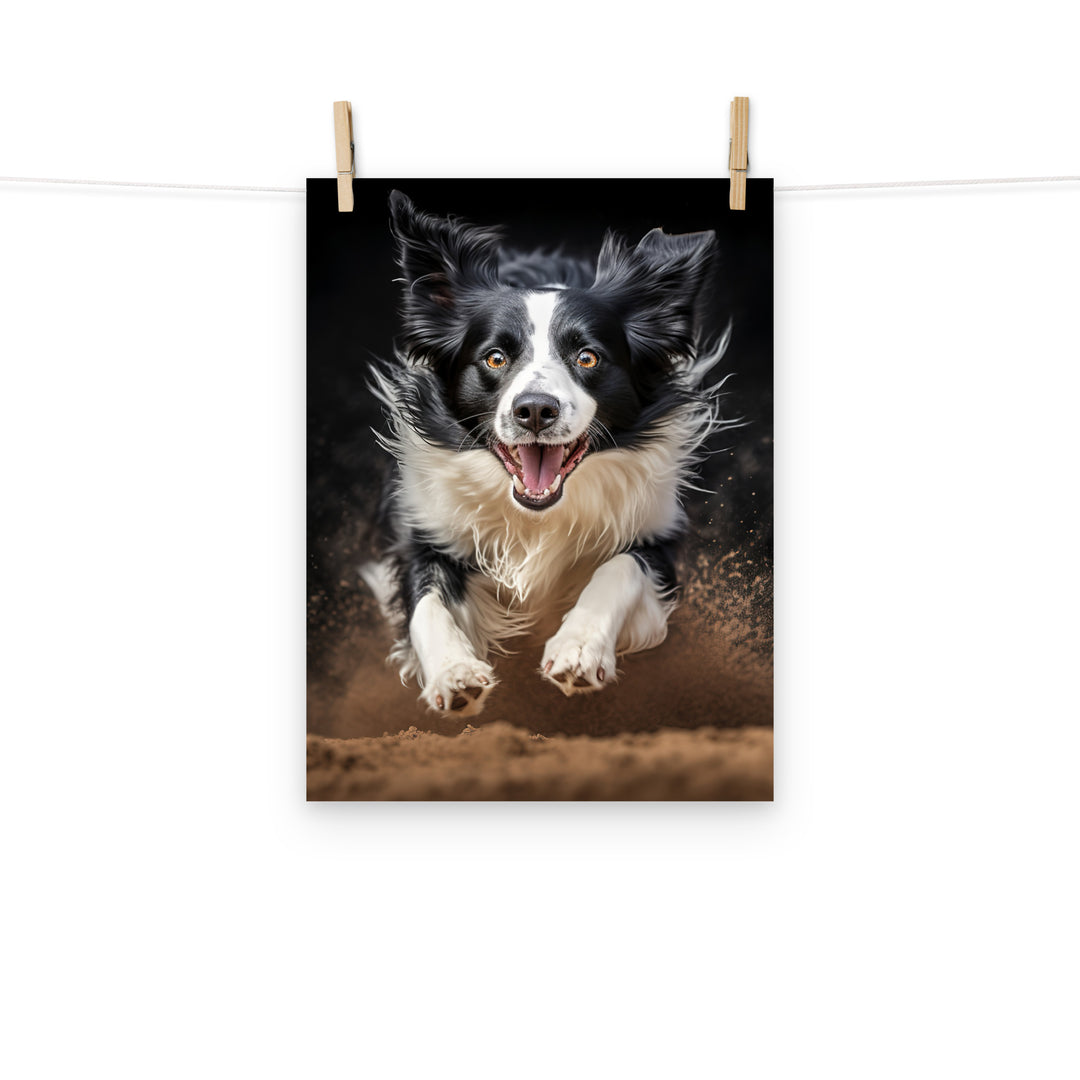 Border Collie Photo paper poster - PosterfyAI.com