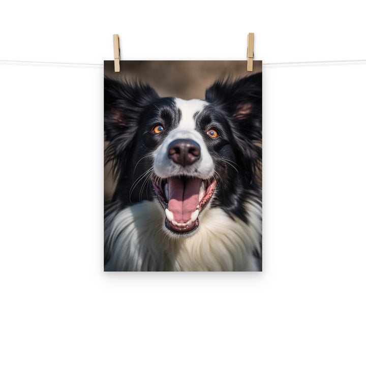 Border Collie Photo paper poster - PosterfyAI.com