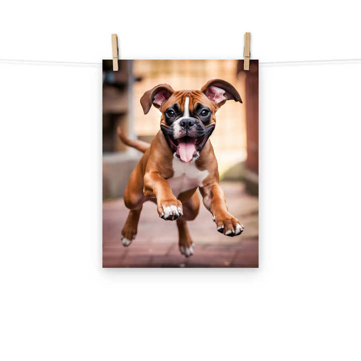 Boxer Photo paper poster - PosterfyAI.com