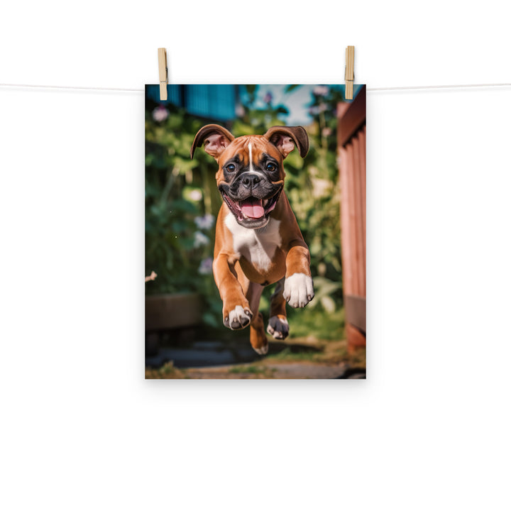 Boxer Photo paper poster - PosterfyAI.com