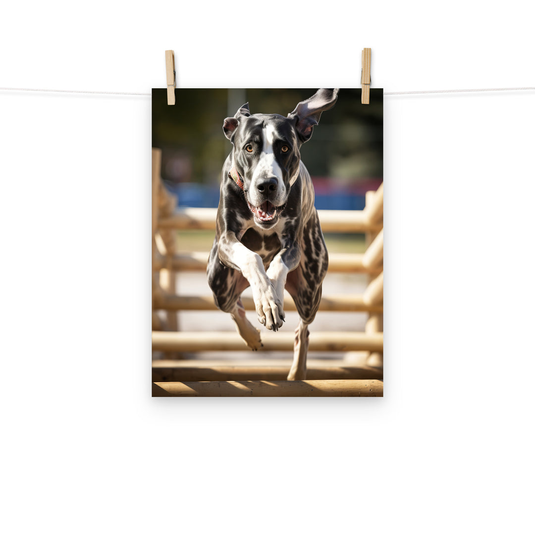 Great Dane Photo paper poster - PosterfyAI.com