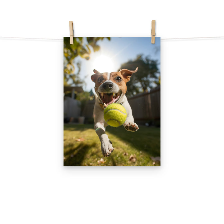 Jack Russell Terrier Photo paper poster - PosterfyAI.com