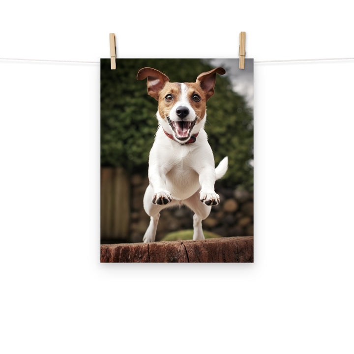 Jack Russell Terrier Photo paper poster - PosterfyAI.com