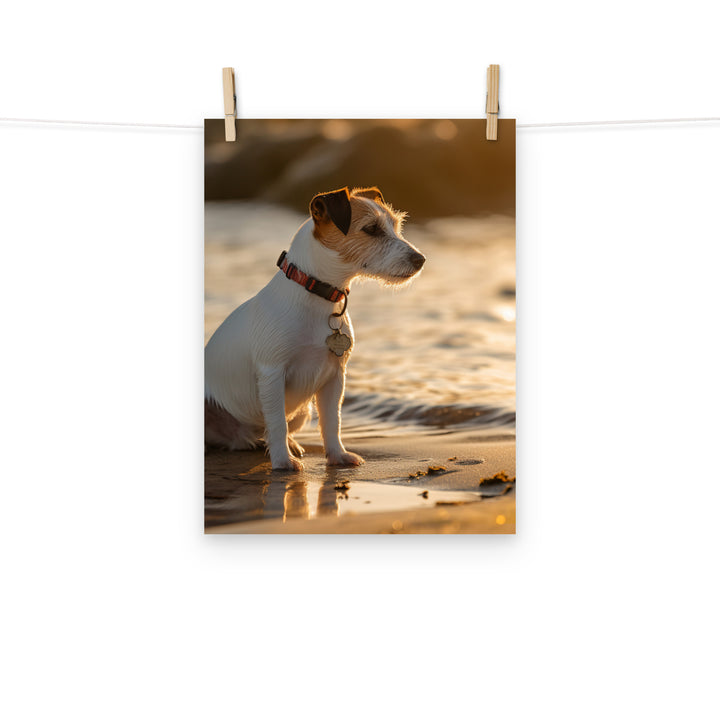 Jack Russell Terrier Photo paper poster - PosterfyAI.com