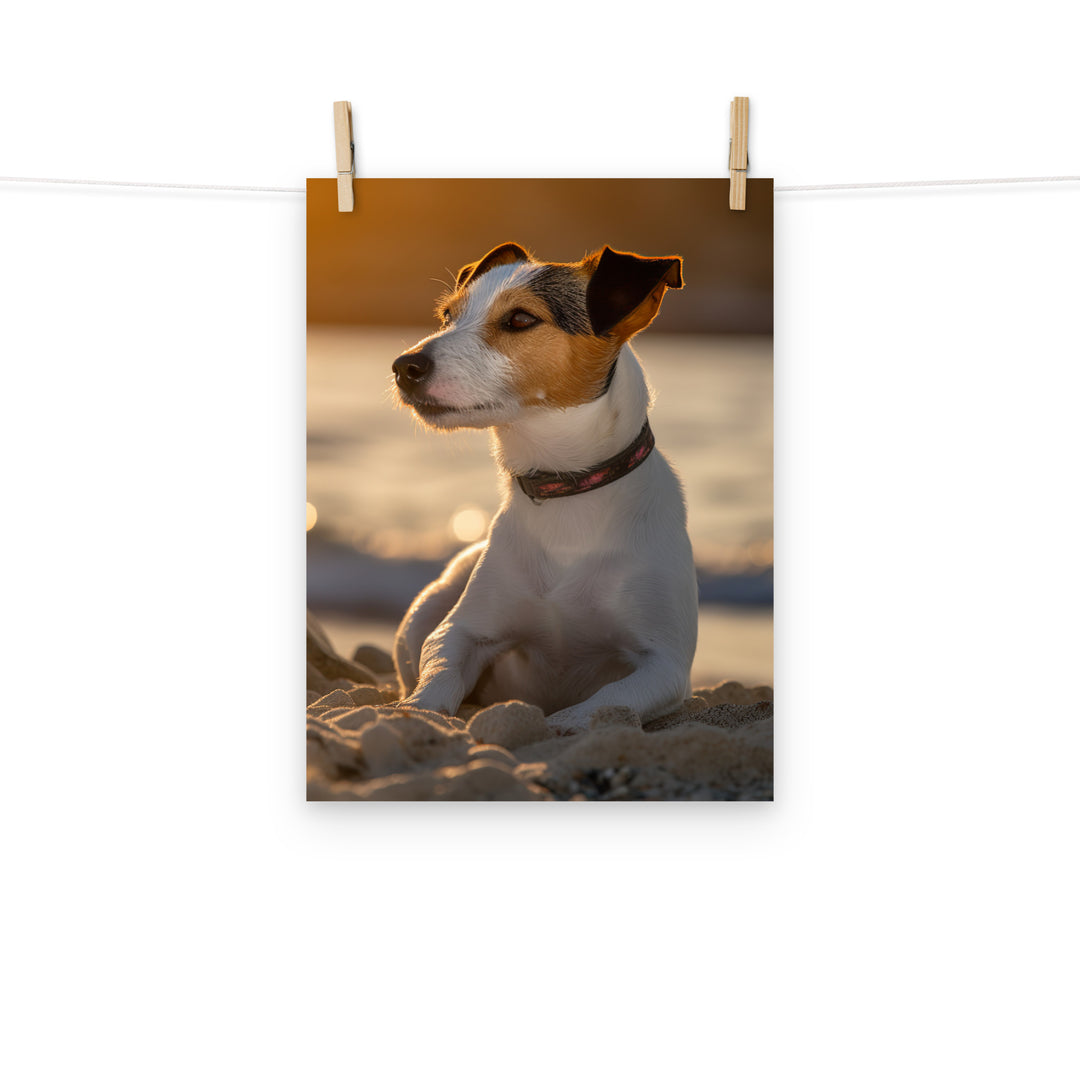 Jack Russell Terrier Photo paper poster - PosterfyAI.com