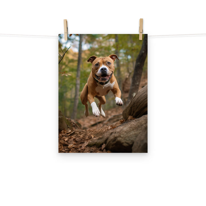 American Staffordshire Terrier Photo paper poster - PosterfyAI.com