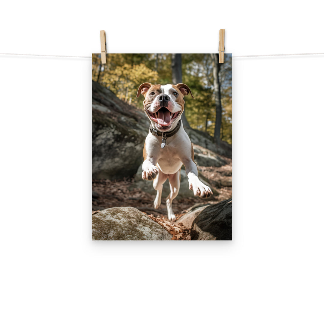 American Staffordshire Terrier Photo paper poster - PosterfyAI.com