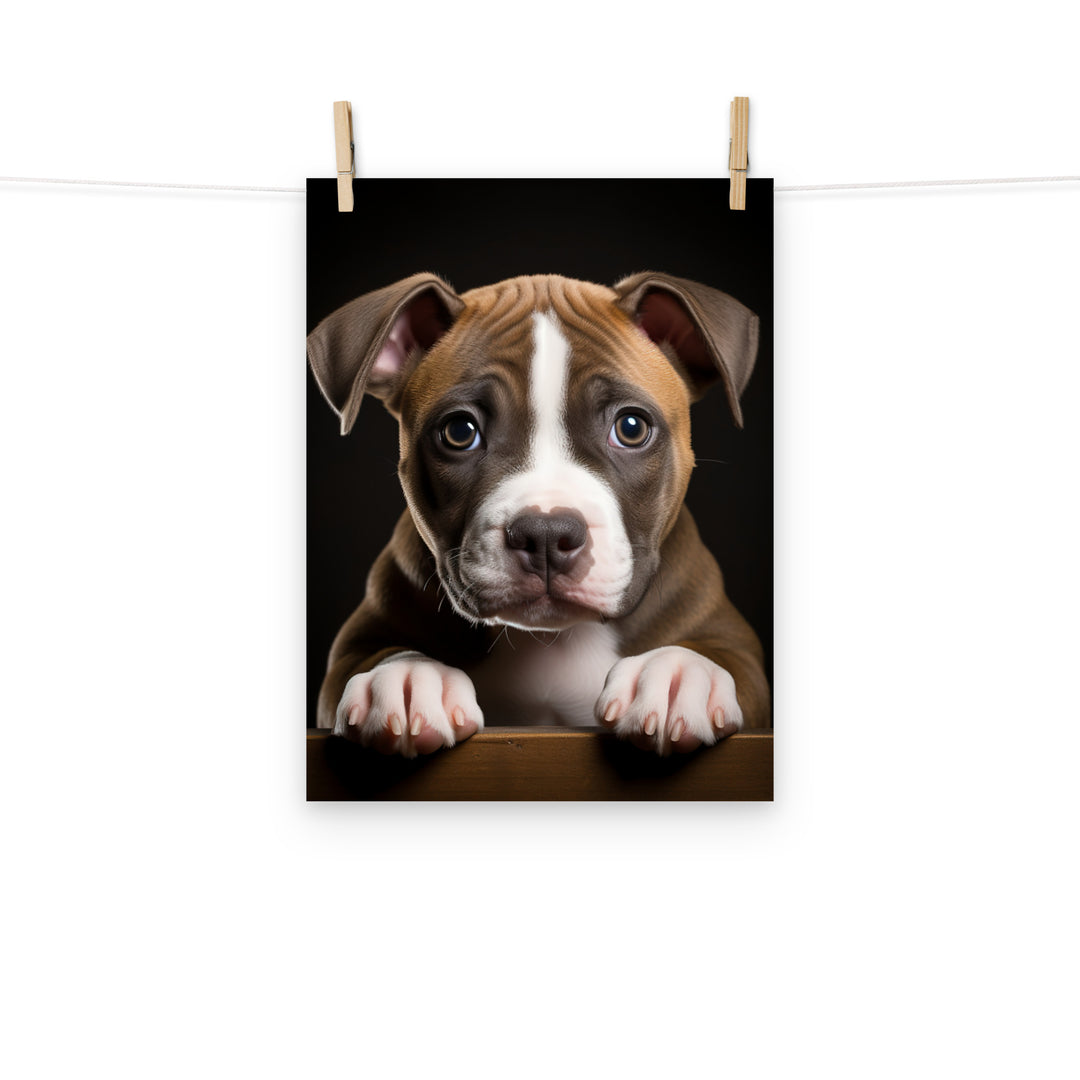 American Staffordshire Terrier Photo paper poster - PosterfyAI.com