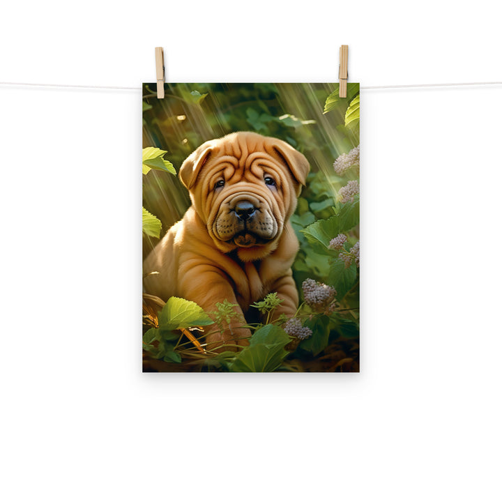 Shar Pei Photo paper poster - PosterfyAI.com